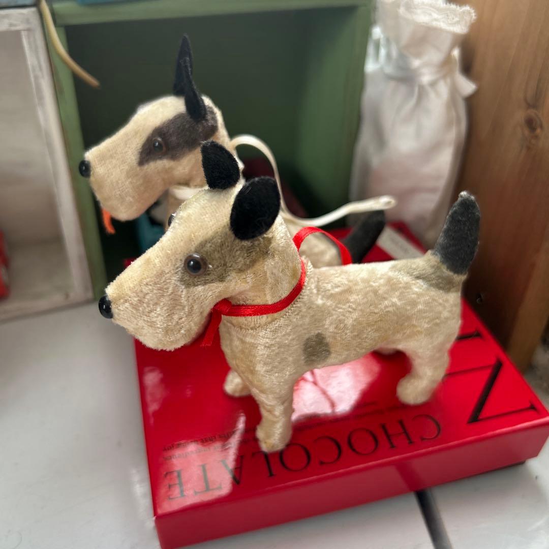 ビンテージフォックステリア