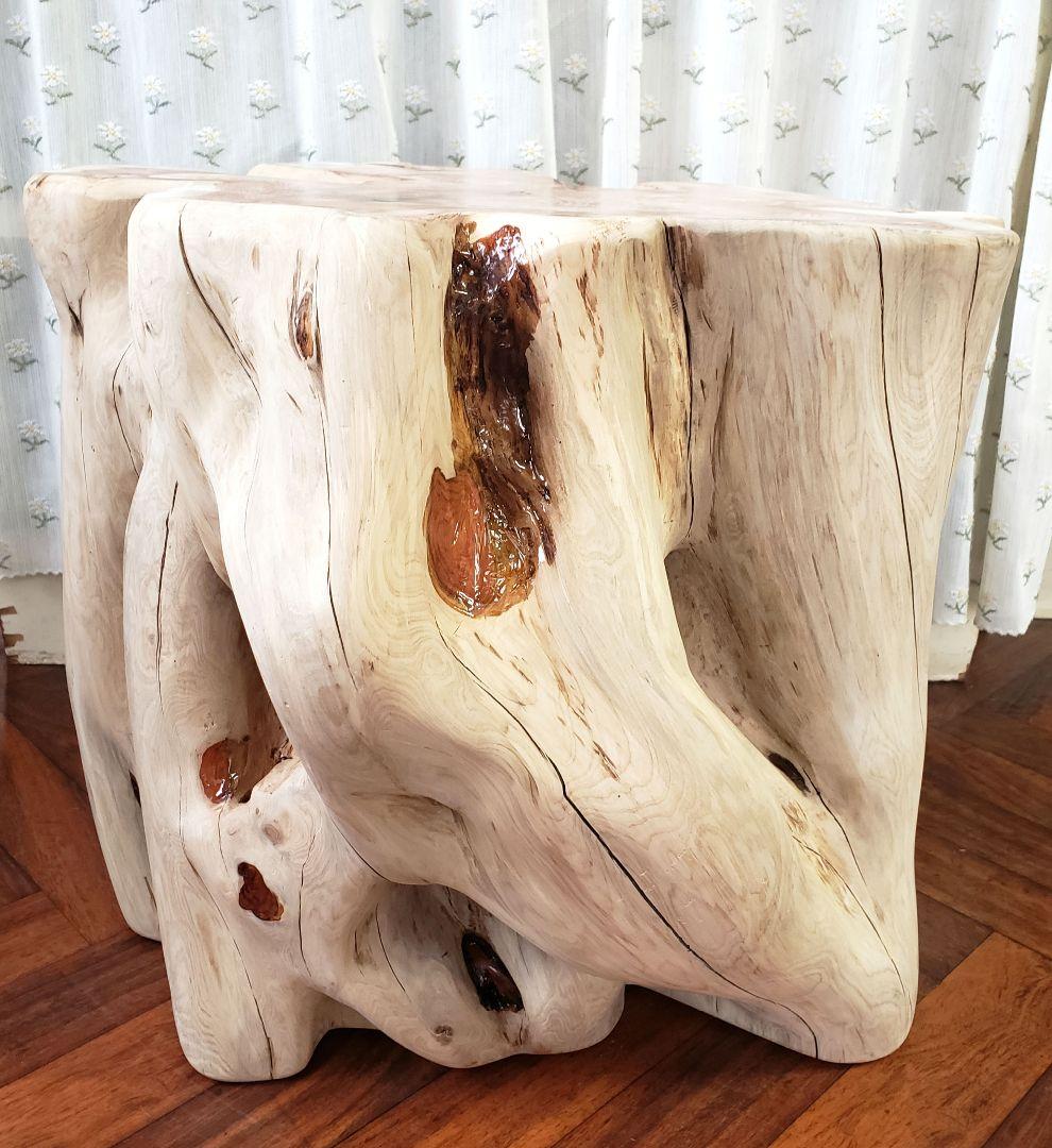 貝塚伊吹希少サイズ丸太