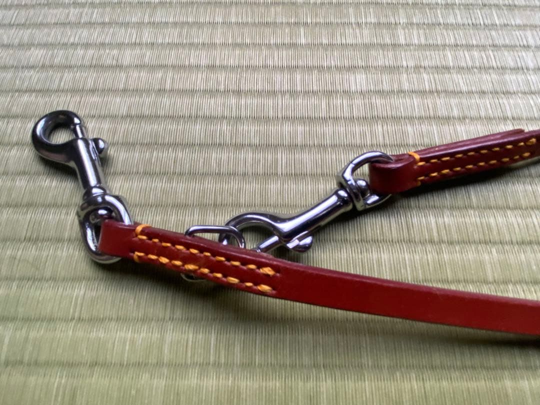 革の犬用リードと軍手はおまけに！