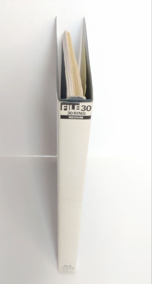 ☆希少☆ 中川貴雄 カイロプラクティック勉強会 テキスト 資料