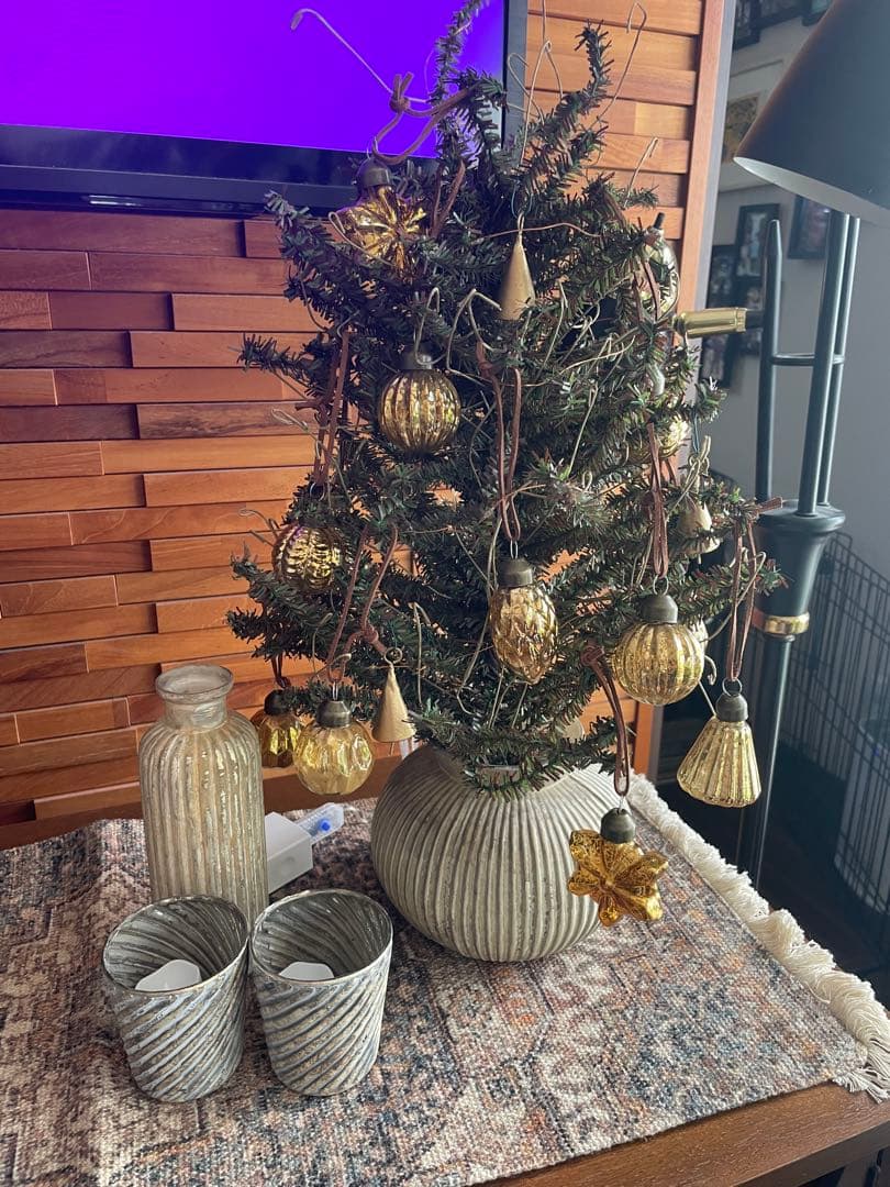 専用　アントリー　豪華クリスマスセット