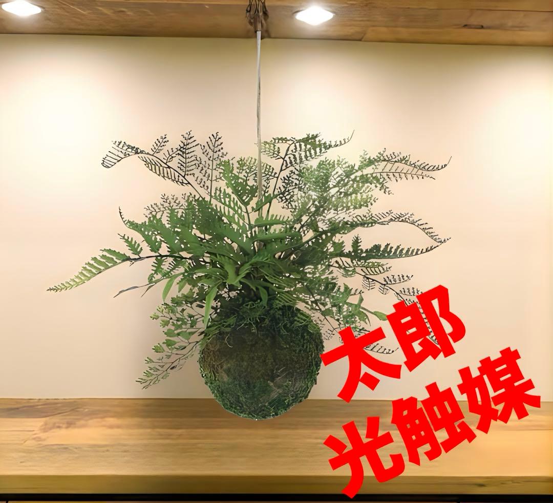 光触媒　人工観葉植物　フェイクグリーン　ミックスファンモスボール