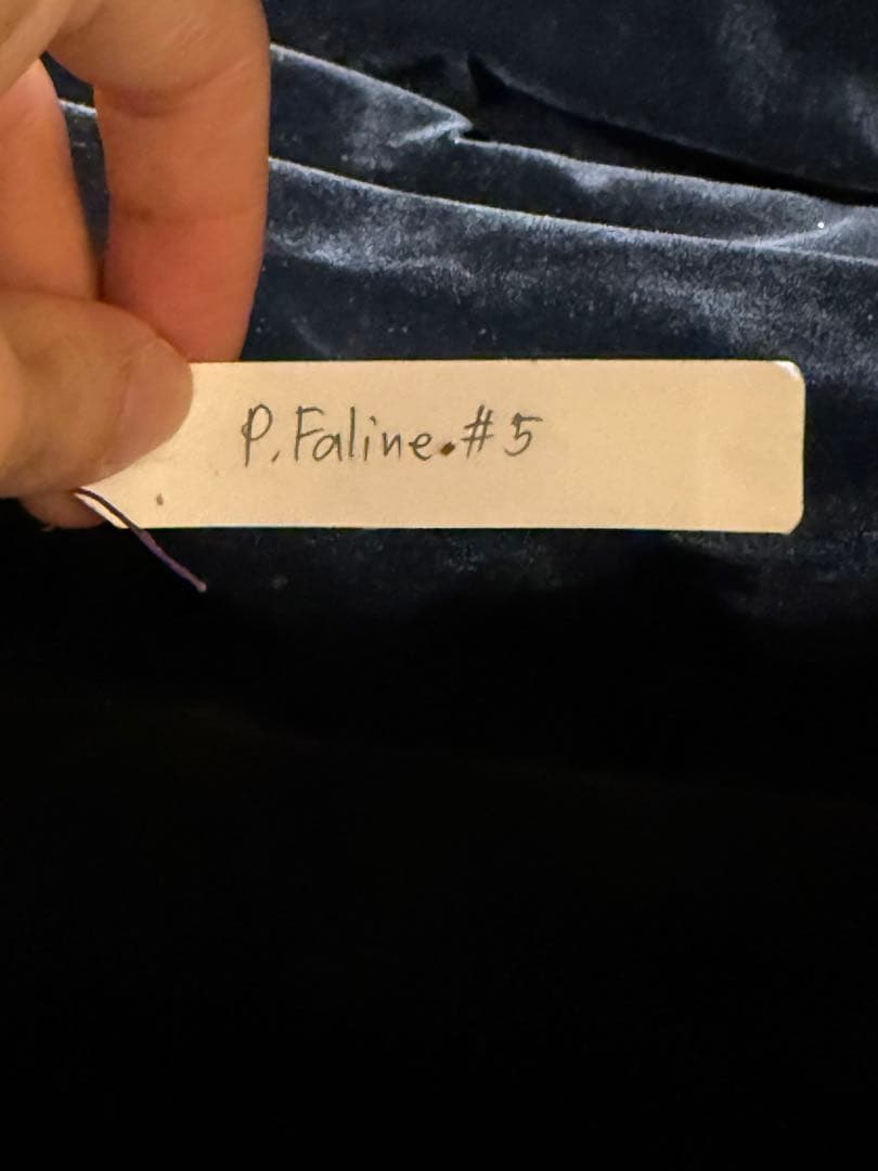 【トンクラさん新交配種】Faline#5 子株　タイ輸入株