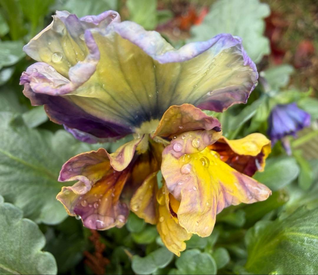 あっき様　13点