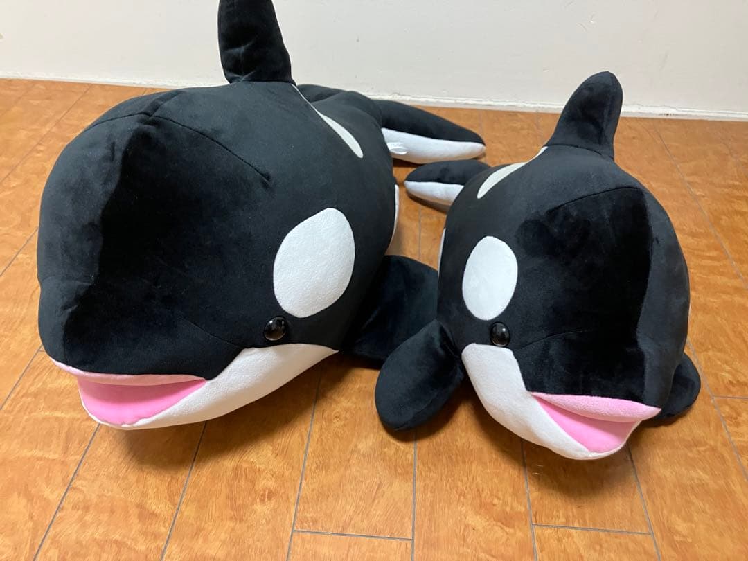 須磨シーオルカくじ1等&2等！