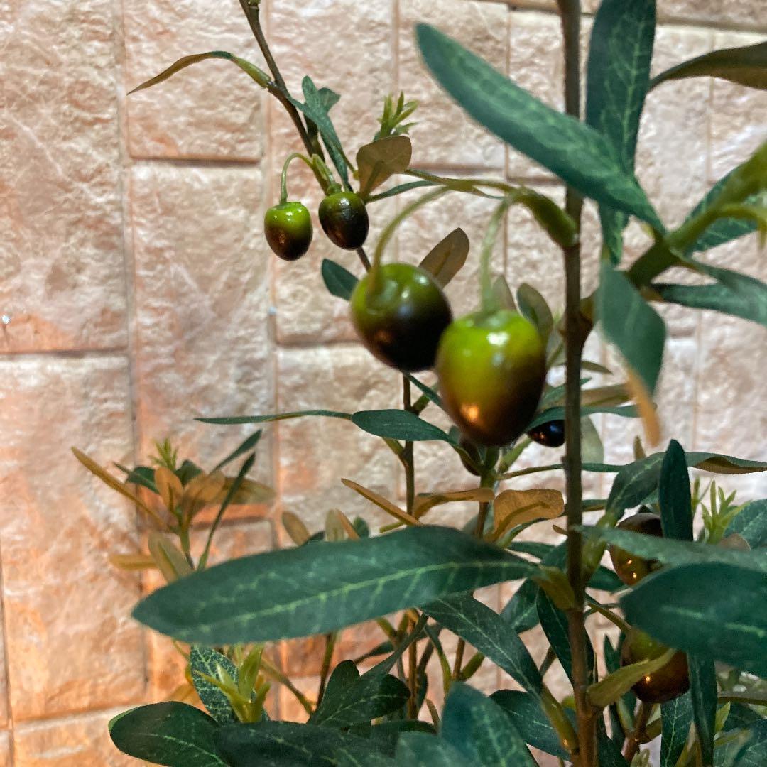 光触媒　人工観葉植物　ウォールグリーン　フェイクグリーン　オリーブ100g