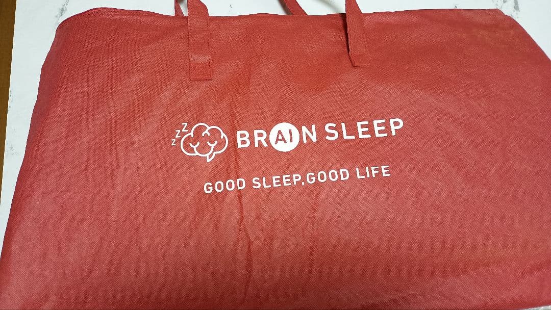 BRAIN SLEEP メッシュ枕 標準サイズ