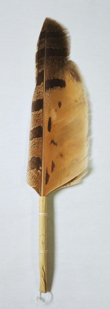 茶道具 羽箒 梟 ふくろう 右羽 風炉用 新品未使用 ③