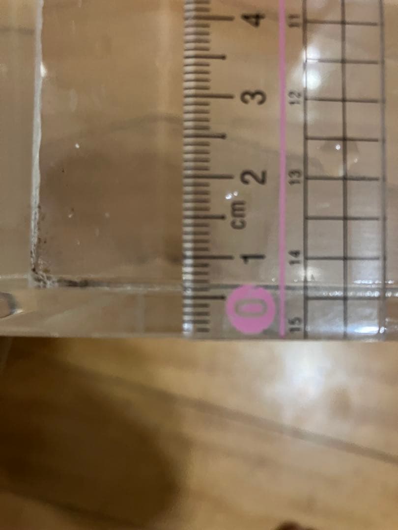 カンテツW450×D450×H350アクリル水槽 厚8㎜底面6㎜