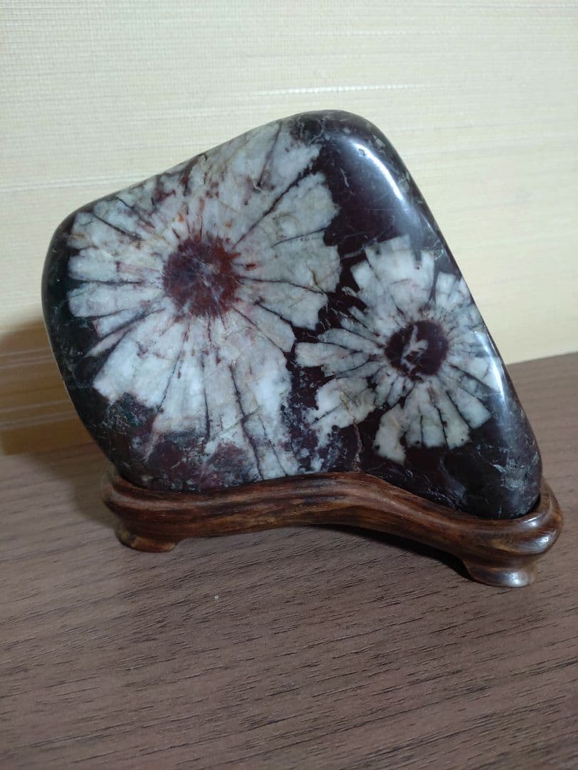 K*0様 菊花石 ピンク花　孔雀部分　根尾 鑑賞石 水石 自然石　木製・花梨の台