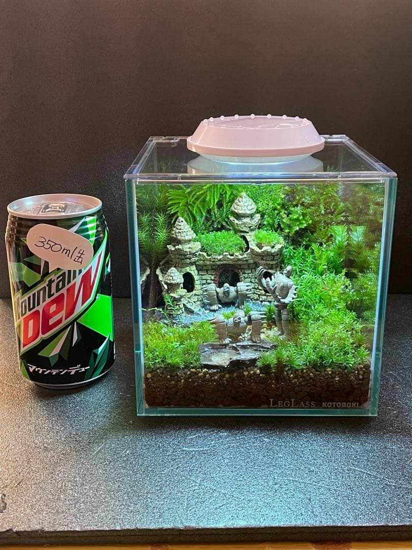 専用商品　苔テラリウム+ライト付　⑦