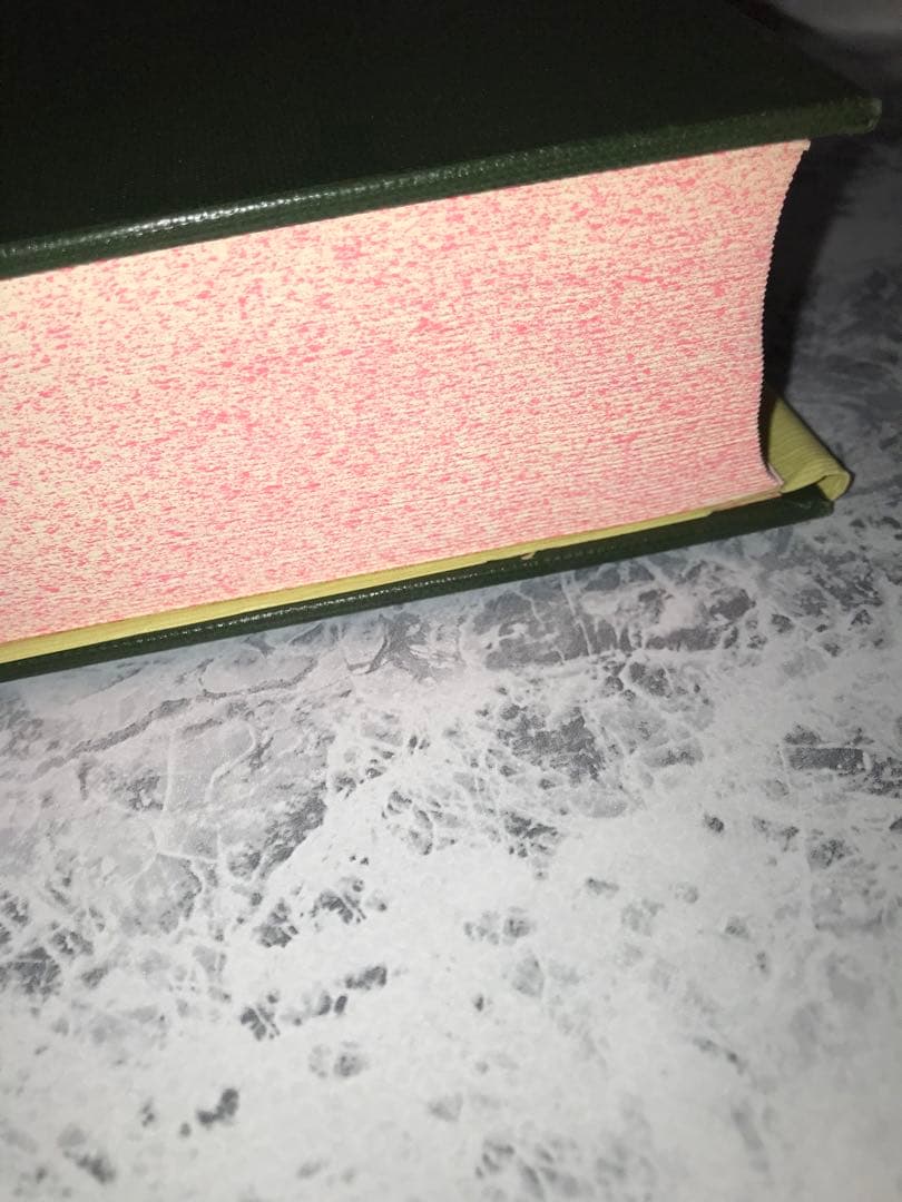 希少！豪華装丁聖書(日本聖書協会)〜外装ダメージあり、カバー以外の本自体は超美品