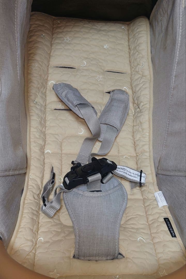 AIR BUGGY ココブレーキ EX FROM BIRTH （追加付属品あり）