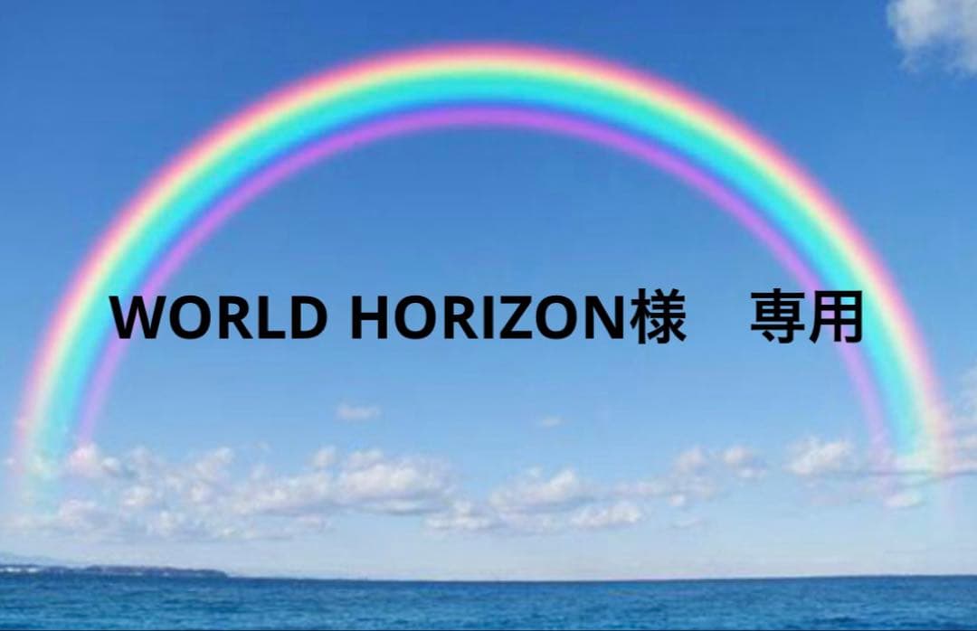 WORLD HORIZON