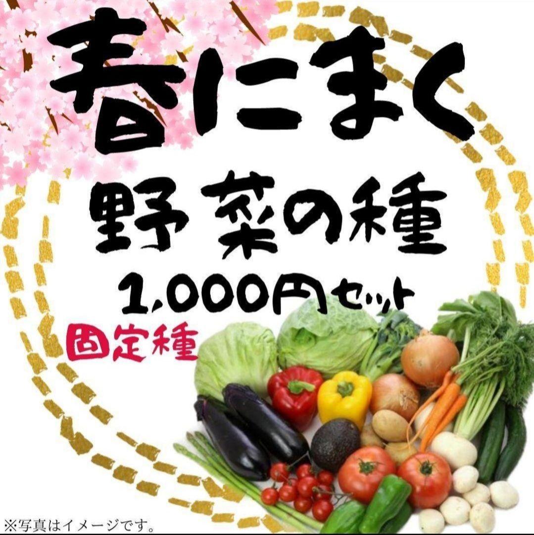 春にまく野菜の種　1,000円セット【2025年　春】