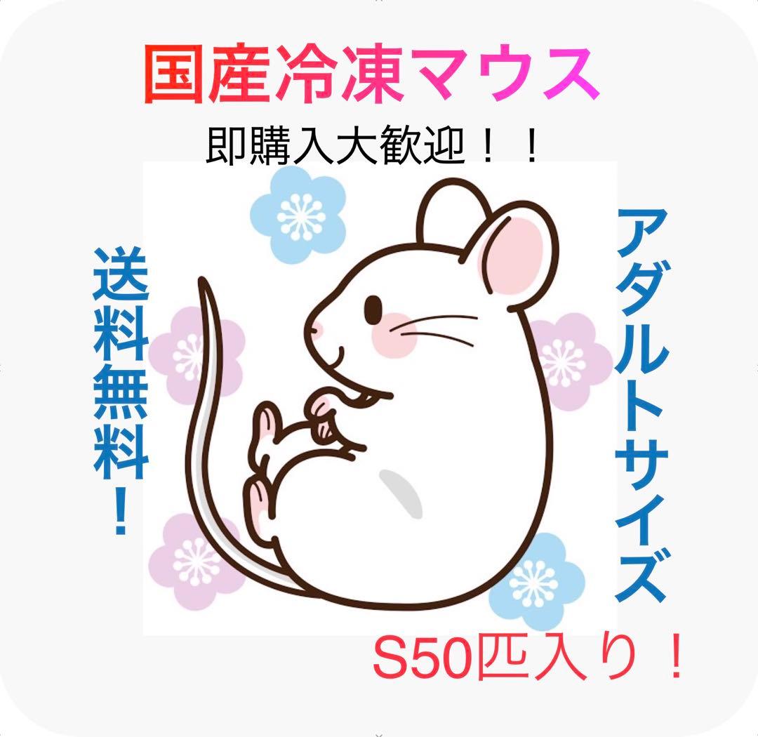 【即購入OK！】国産冷凍マウスアダルトS50匹入@地域限定