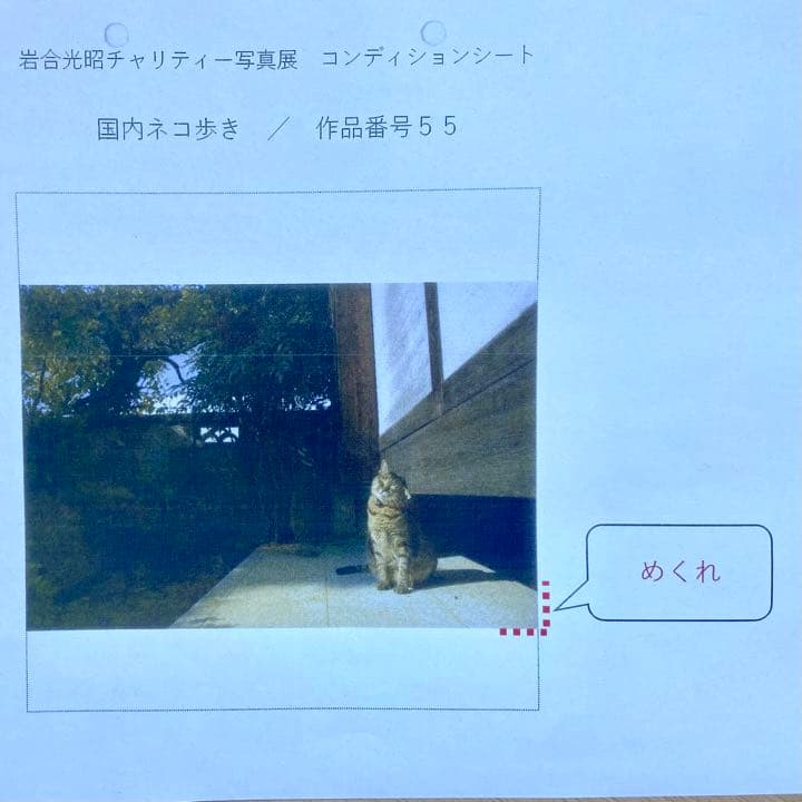 【希少】岩合光照さん　猫写真パネル！