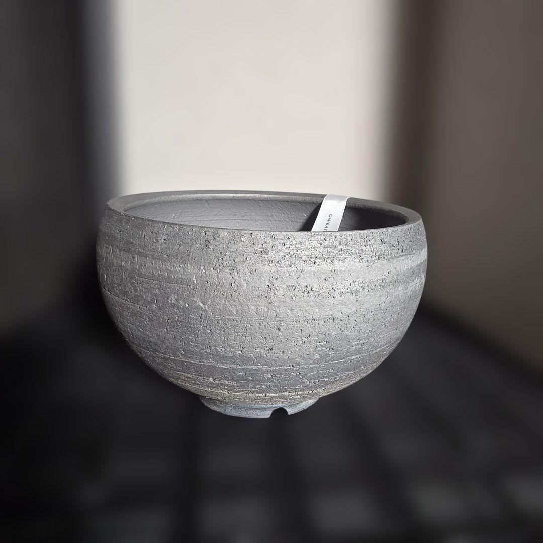 限定50個 三州みやび鉢 パキプス Invisible ink SRL 鶴仙園