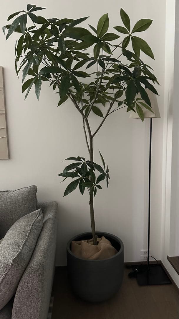 大型　フェイクグリーン　観葉植物　鉢付き