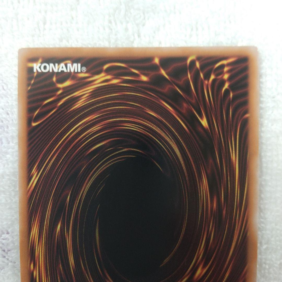 マリスポーンホワイトラビット25th