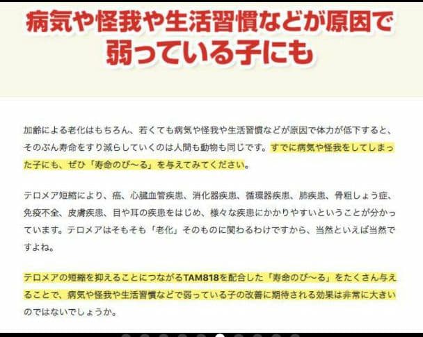 世界初！日本先行販売　ペット用テロメアのサプリ　普段のご飯に混ぜるだけ　3缶