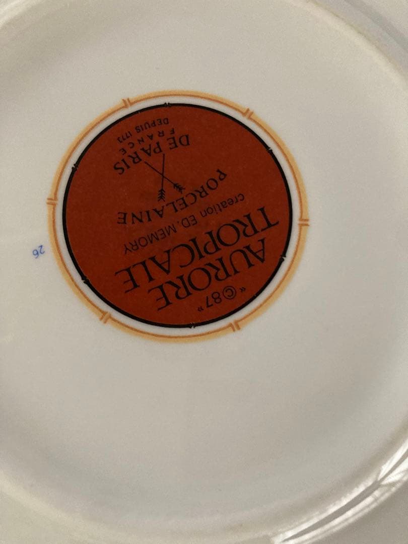 磁器ドパリ　オーロレトロピカルヴィンテージプレート