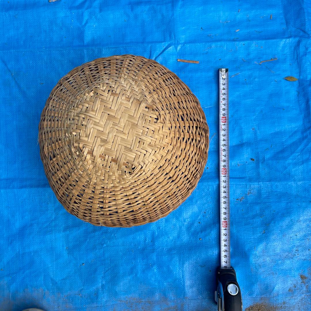 マタタビの籠 33番