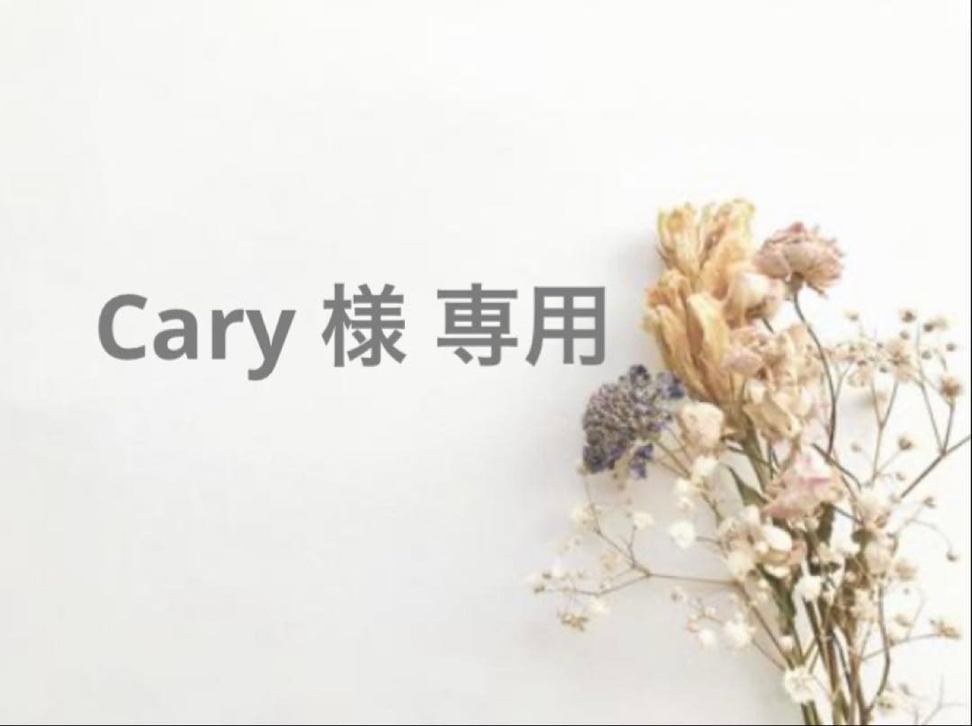 【新品未使用】ゴーシャラブチンスキー 半袖Tシャツ