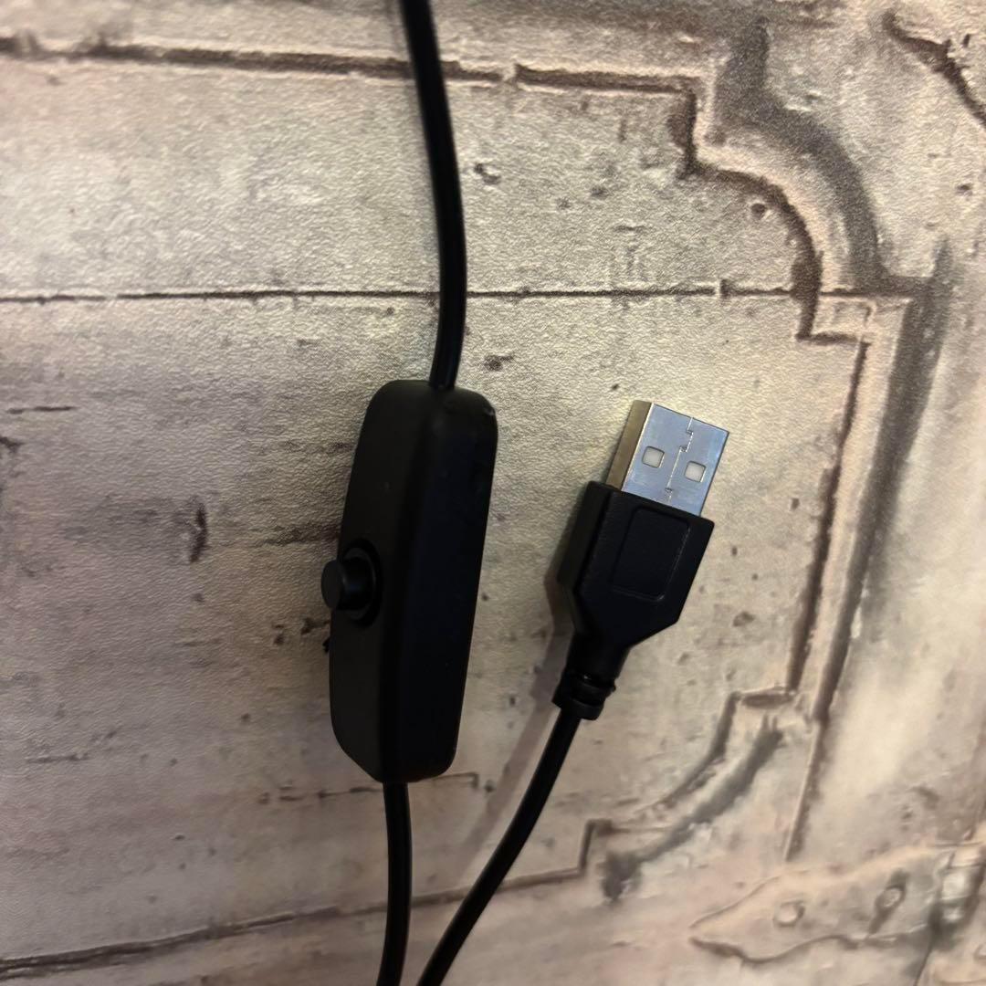 【Special Price】 血誓いの棺(少女)オブジェ