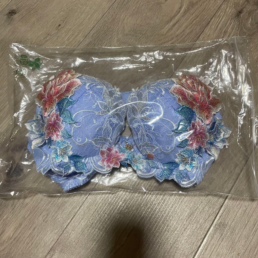 Wacoal Salute 09グループ E65 PU