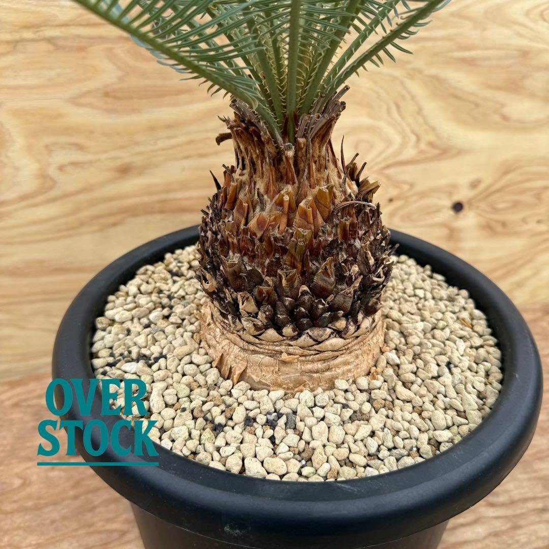 arichan50さん　専用