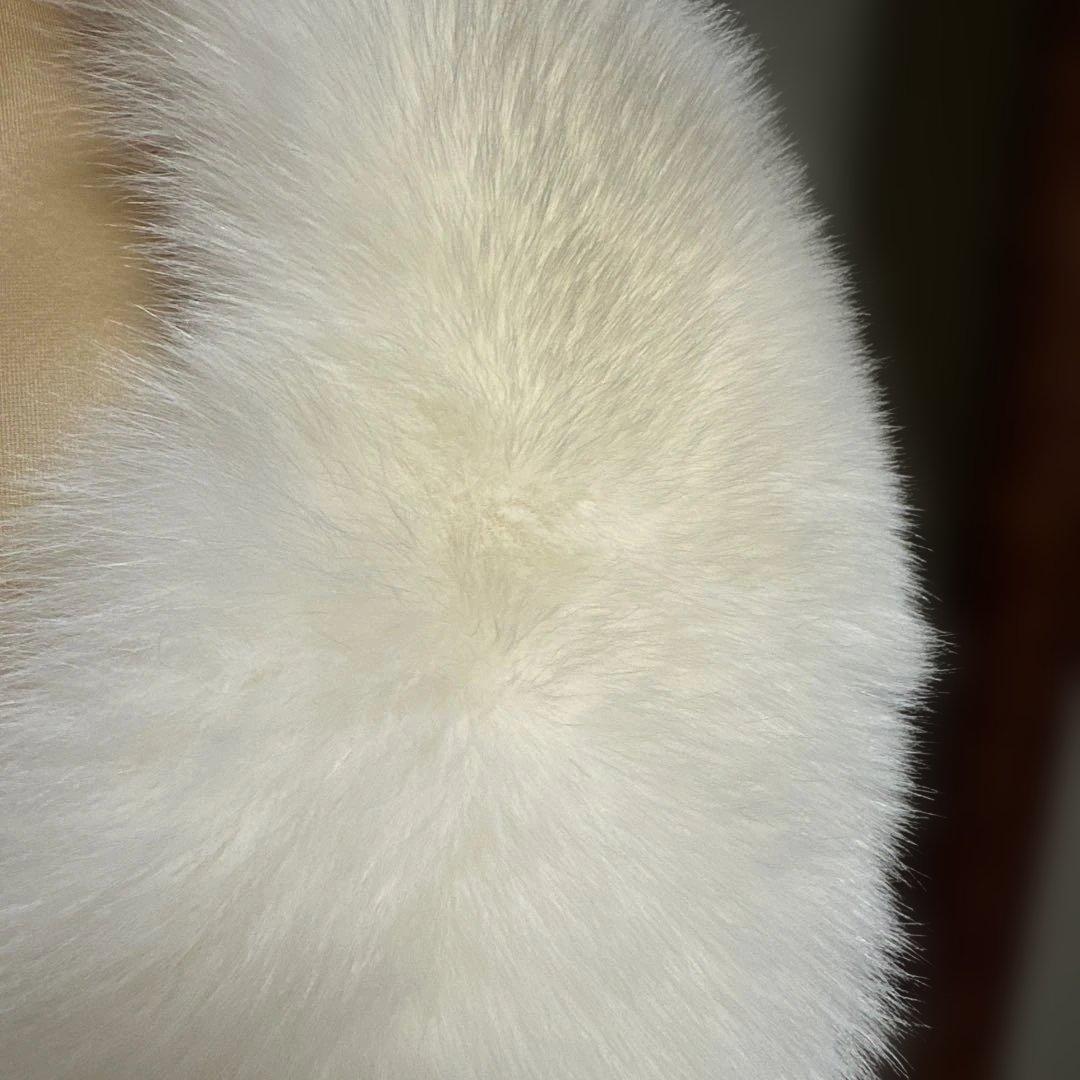 Haruta　成人式　ショール　SAGA FURS 毛量多い