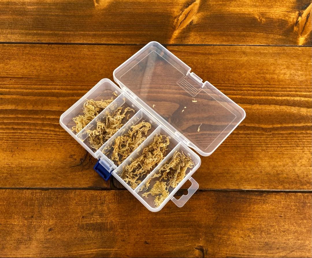 クワガタ採集セット　パープル　オリジナル掻き出し棒　デジタルノギス　採集ケース