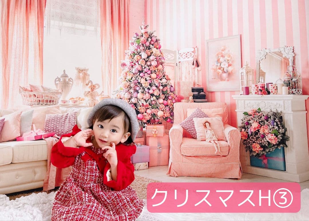 背景布【秋XA】サンプル80×120cm　ペット撮影用ブース　運動会　お月見