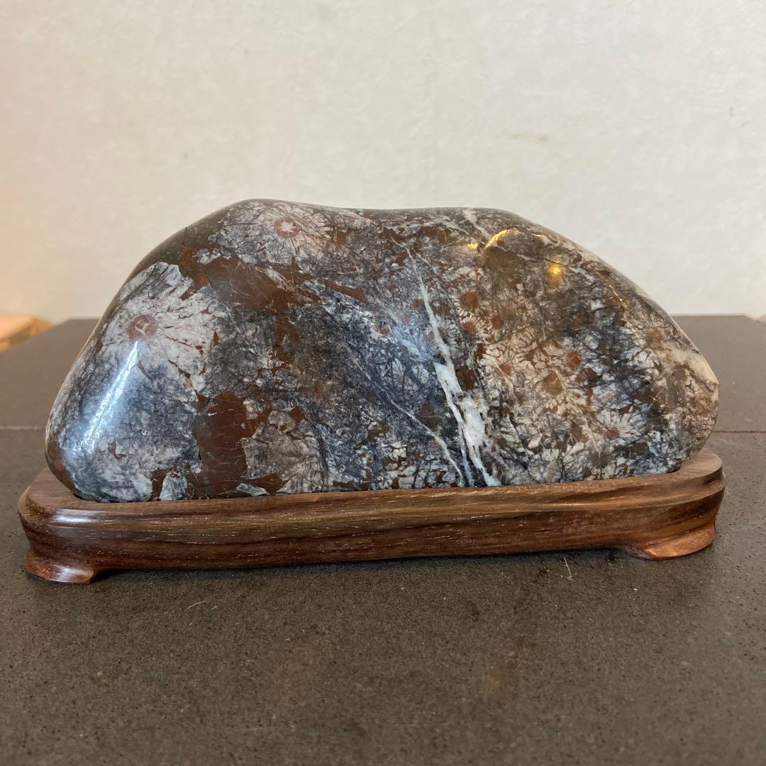 菊花石　★鑑賞石　菊花石