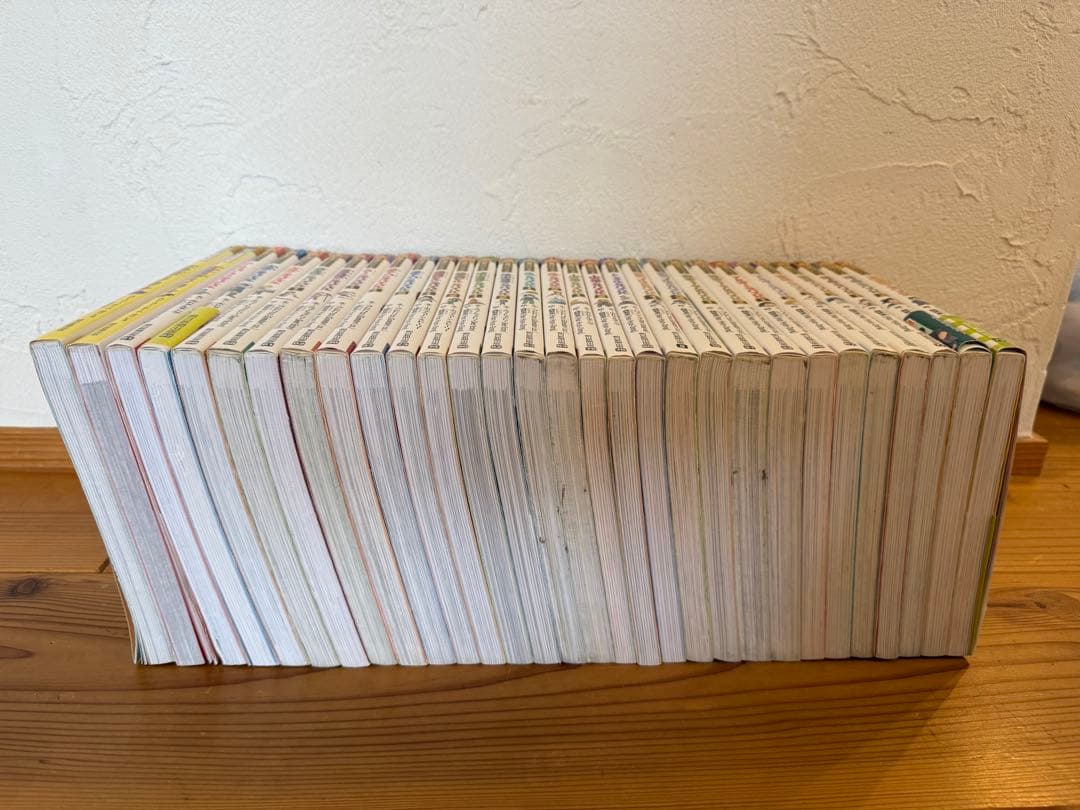 【バラ売り可】サバイバルシリーズ28冊、タイムワープシリーズ2冊合計30冊セット