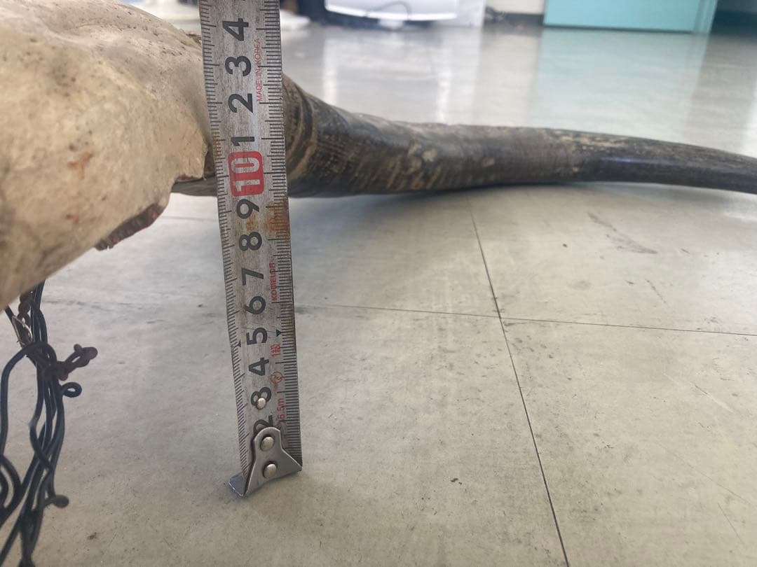 バッファロースカル　特大　壁飾り　オブジェ　アンティーク