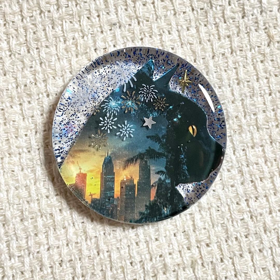 2504. 【大】レジンポニーフック・ヘアゴム・ブローチ