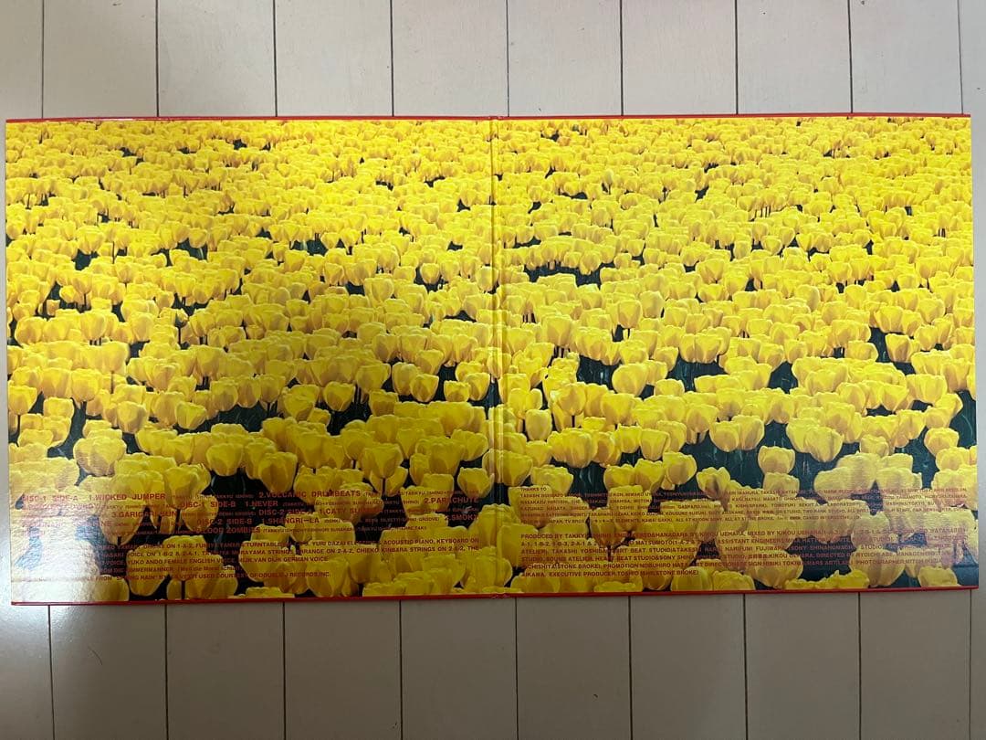 電気グルーヴ『A』Shangri-La/シャングリラ 激レア★ 2LP レコード