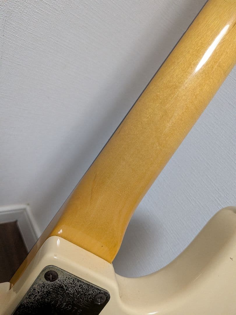 Fernandes Limited Edition　ソフトケース新品弦付きます