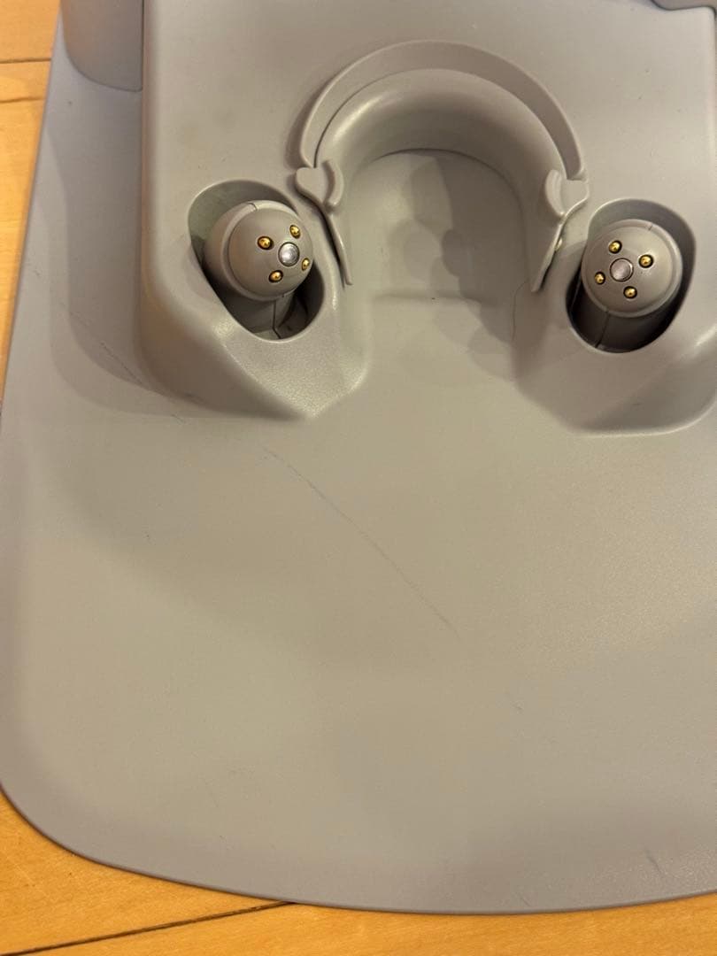 【本日⭐︎限定値下げ】LOVOT 3.0 ちゃ 本体+ネスト