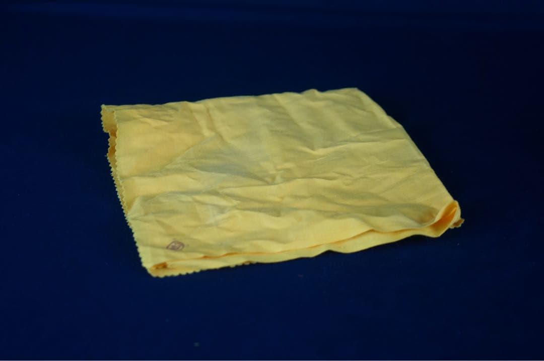 鳴滝窯 橋本城岳 乾山写 老松 水指 共箱 布付 茶道具 美品