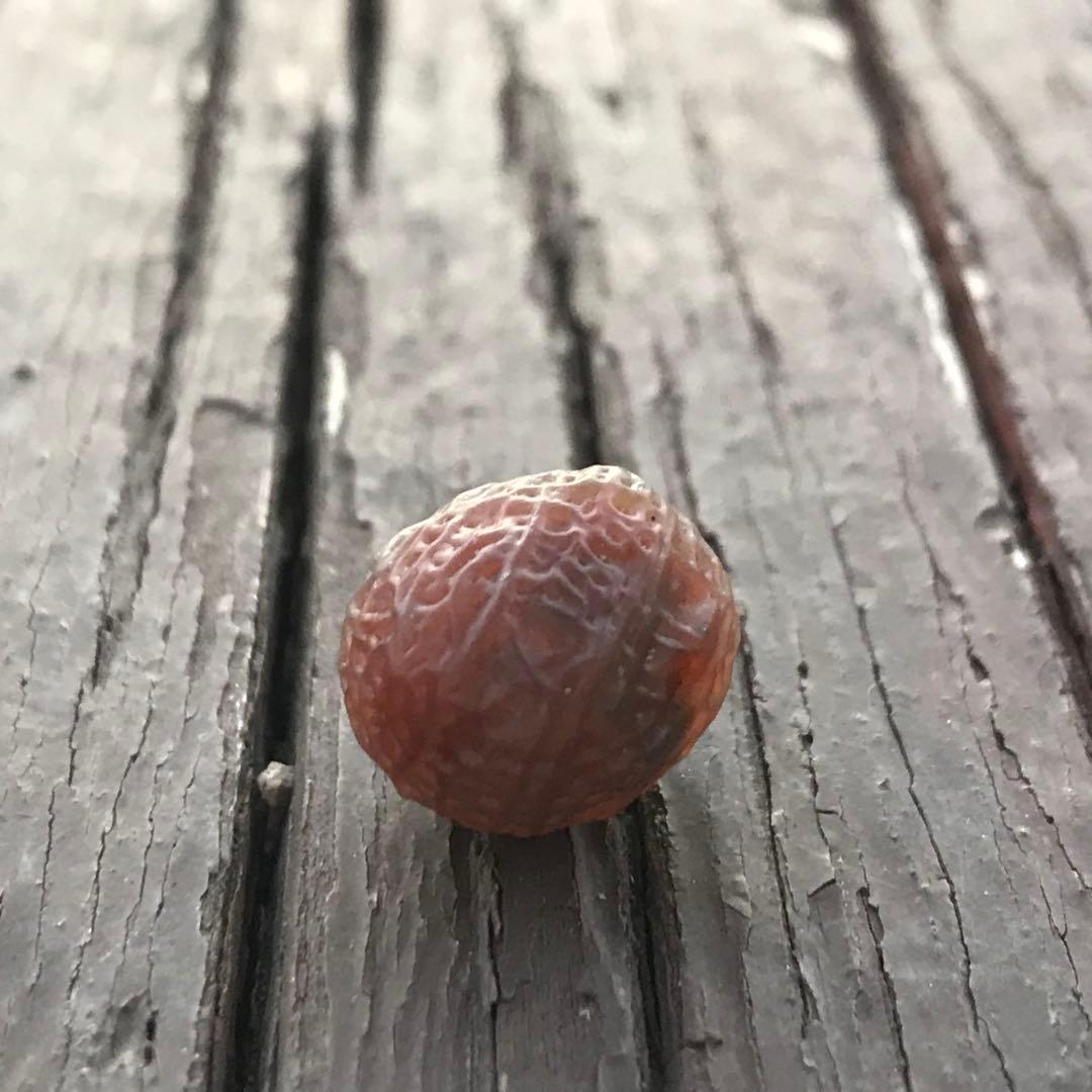 ゴビ石−1199 ゴビ瑪瑙　原石　『糸玉』