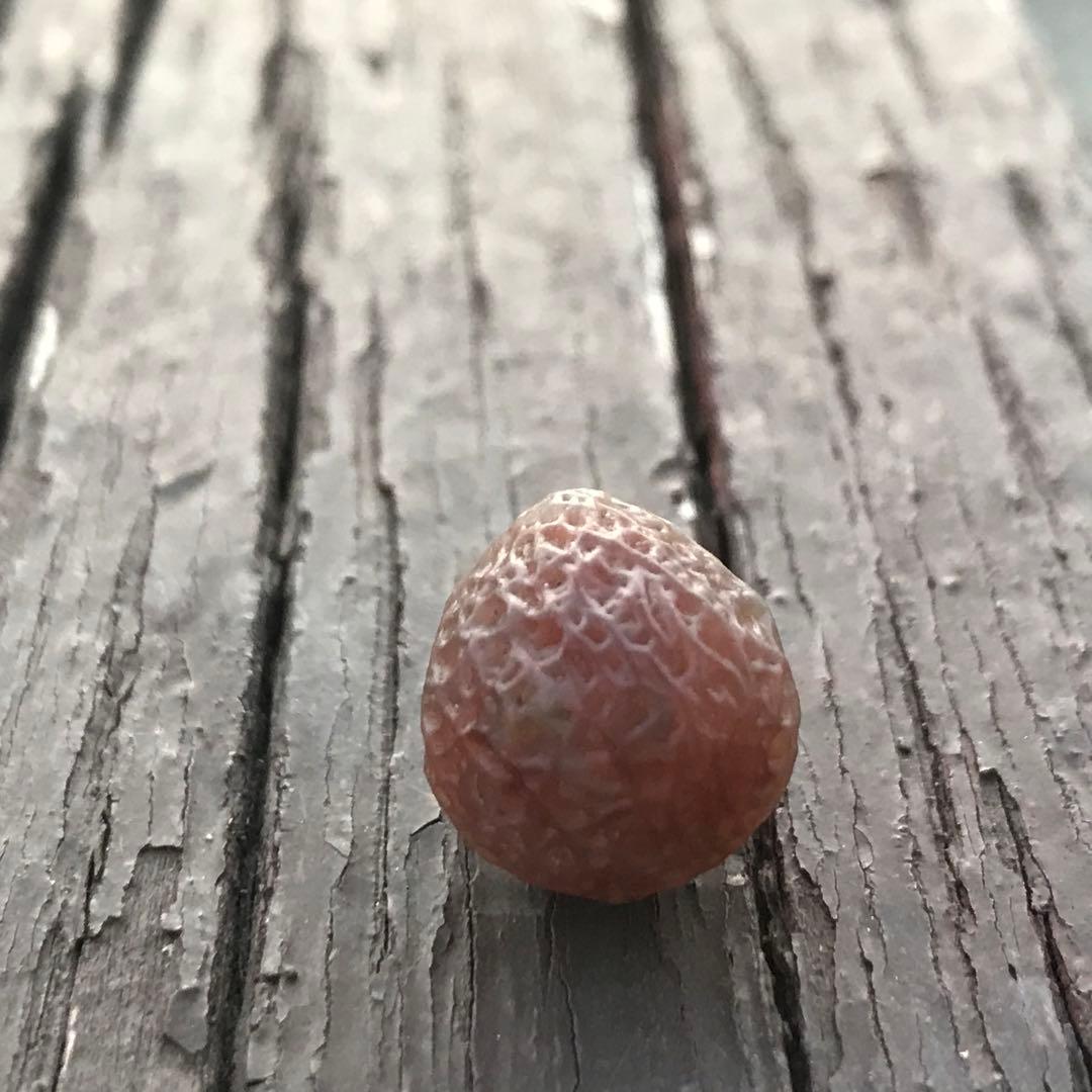 ゴビ石−1199 ゴビ瑪瑙　原石　『糸玉』