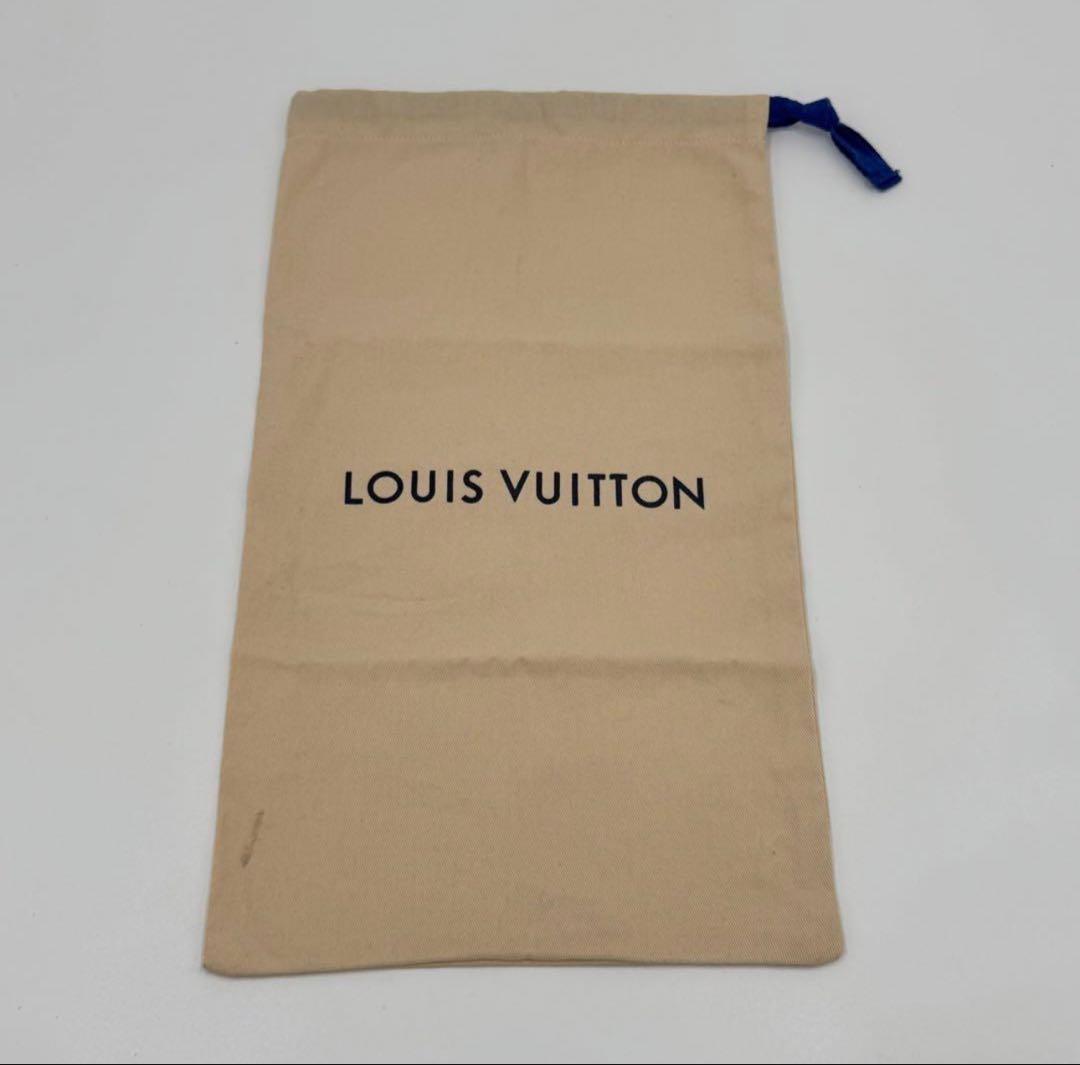 LOUIS VUITTON スキー スノーボードゴーグル