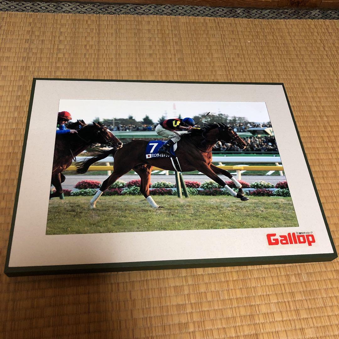 ★【非売品】(２０１３年#ジャパンカップ#ジェンティルドンナパネル)