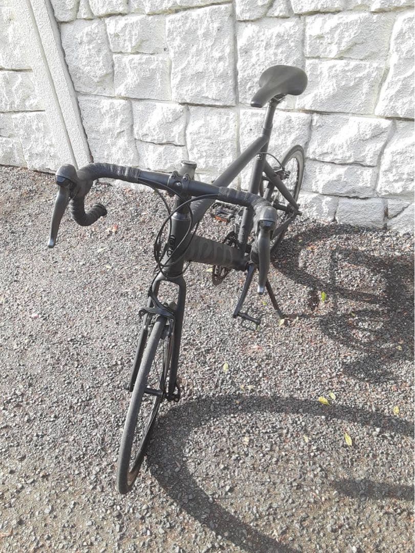 フラワー 　TERN ( ターン ) SURGE