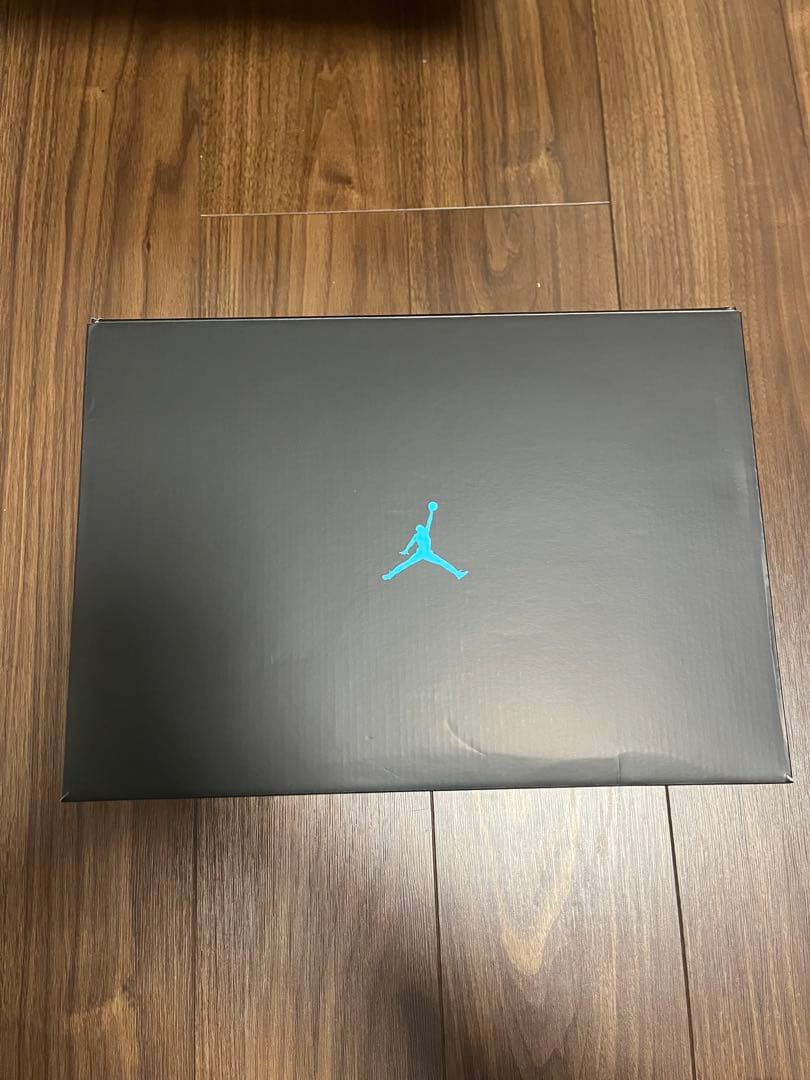 Nike Air Jordan 11 Retro Gamma ナイキ　28
