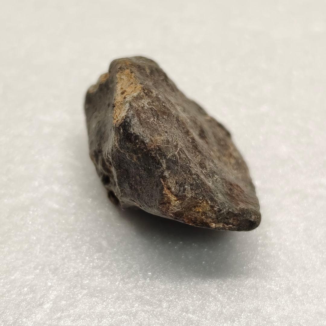 NWA869/NWA7831 サハラ隕石&ダイオジェナイト石隕石 NO.371