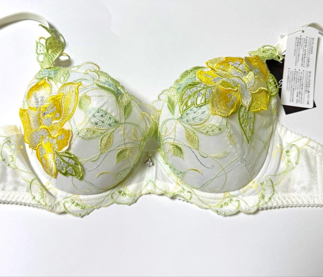 サルート 地中海ブラF70 BTJ470&ノーマルショーツM PTJ770 WH